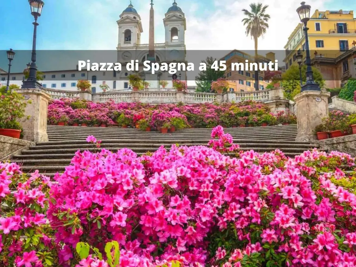 Vicino Ai Castelli Romani! Villetta Moderna Con Wifi E Parcheggio Рим